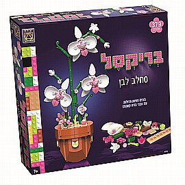 דרדסים קעקועים דרדסים קעקועים
